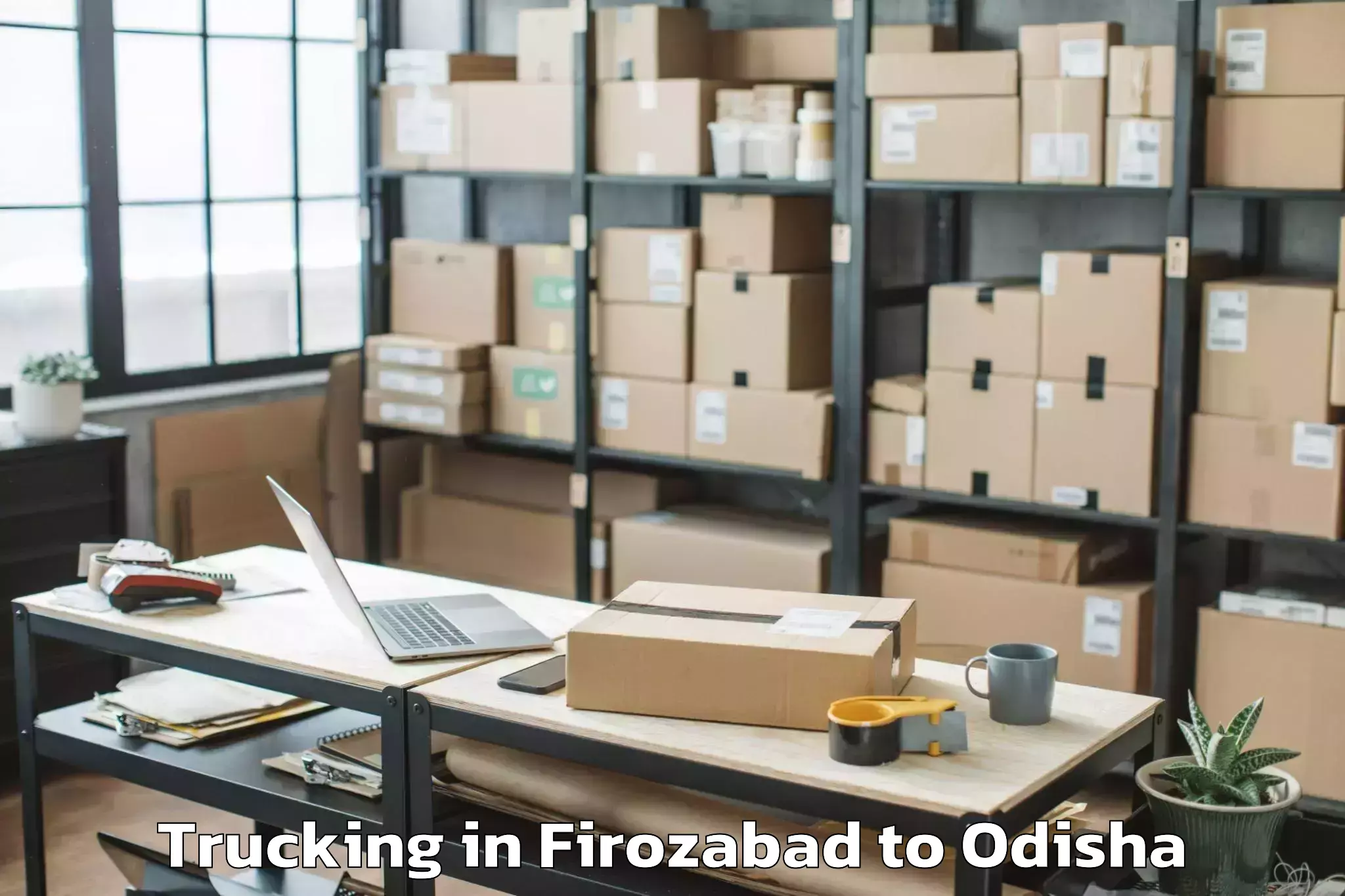 Book Firozabad to Kisinda Trucking